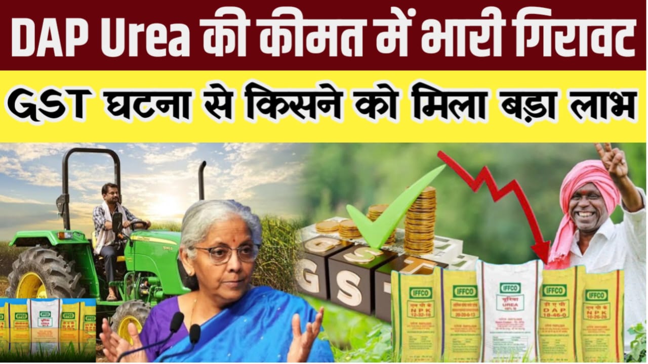 DAP Urea New Rate 2025